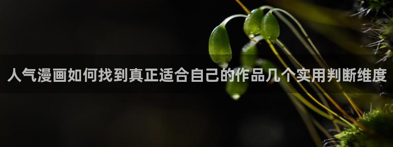 樱花日语高级