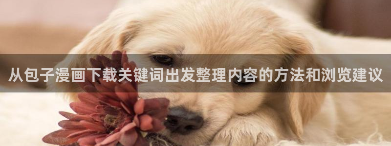 樱花日语网络课程：从包子漫画下载关键词出发整理内容的方法和浏览建议