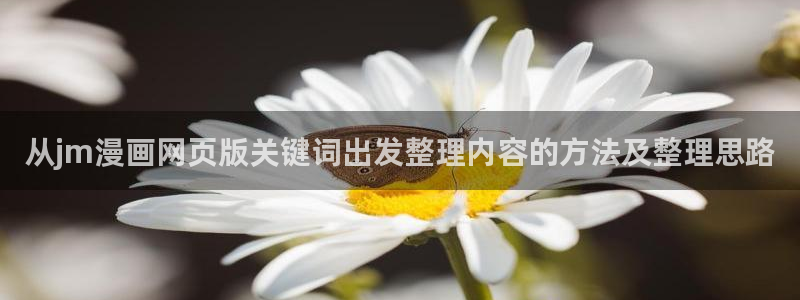 樱花日语例句：从jm漫画网页版关键词出发整理内容的方法及整理思路