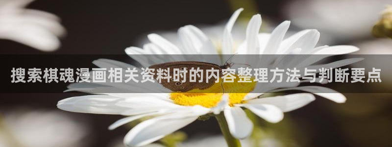 樱花日语入门班:搜索棋魂漫画相关资料时的内容整理方法与判断要点